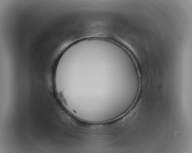 X0000115511455200911060953