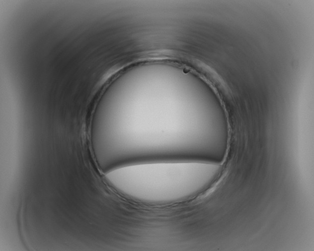 X0000115511457200911060953