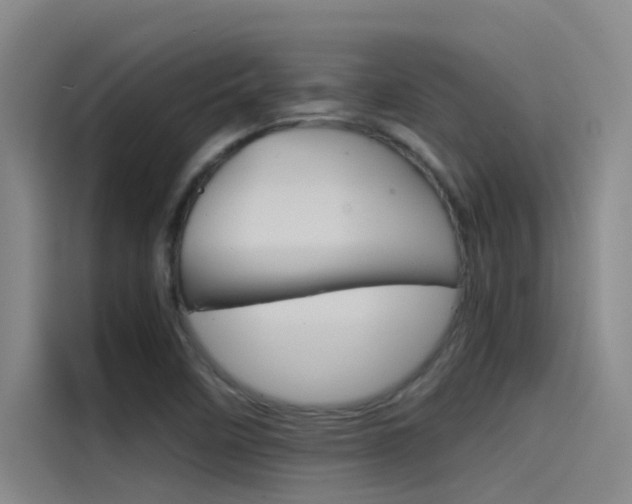 X0000115511458200911060953