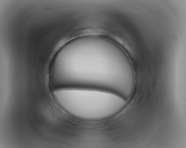 X0000115511459200911060953
