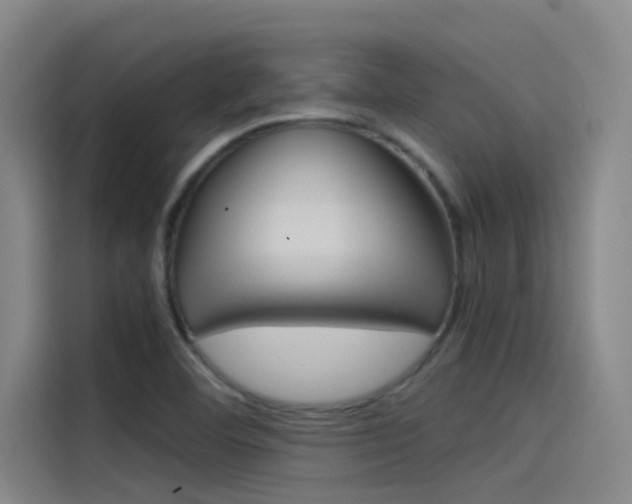 X0000115511460200911060953