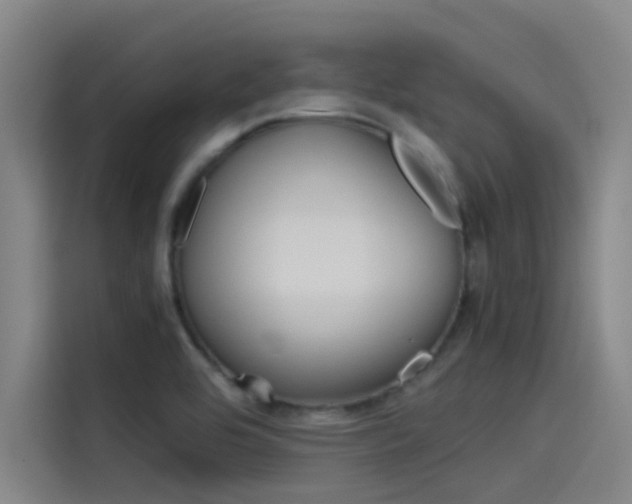 X0000115511464200911060953