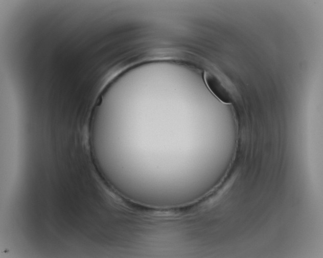 X0000115511465200911060953