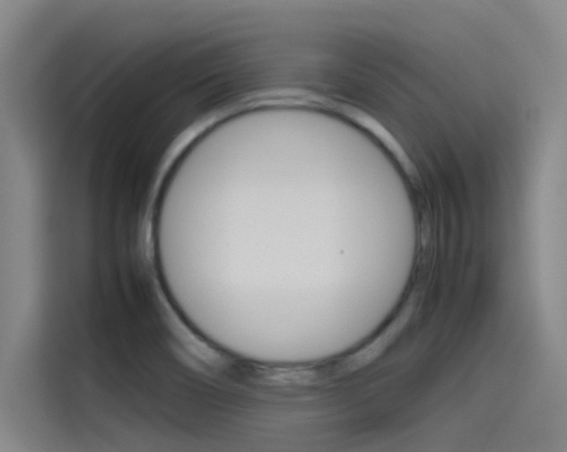 X0000115511466200911060953