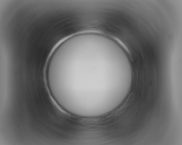 X0000115511468200911060953