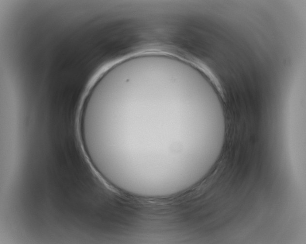 X0000115511472200911060953
