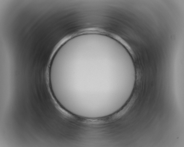 X0000115511474200911060953