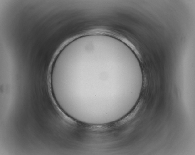 X0000115511478200911060952