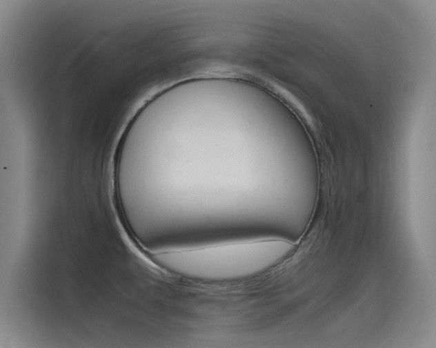 X0000115511479200911060952