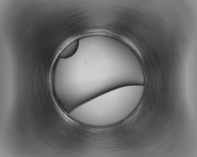 X0000115511482200911060952