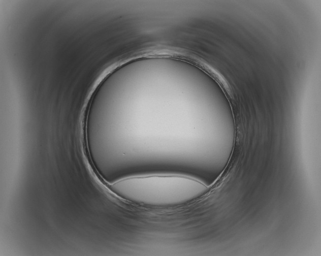 X0000115511483200911060952