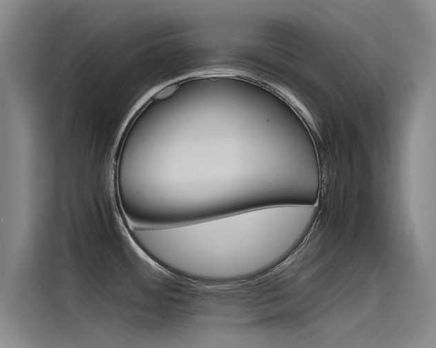 X0000115511484200911060952