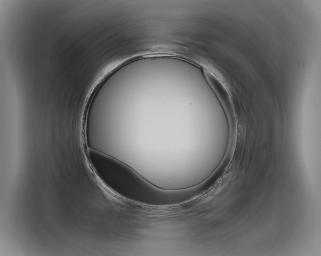 X0000115511485200911060952