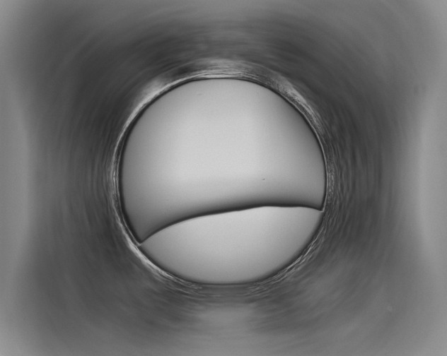 X0000115511487200911060952
