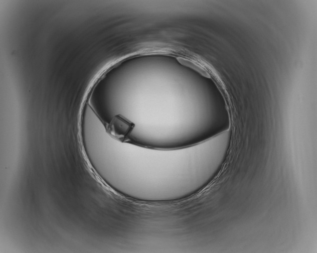 X0000115511488200911060952