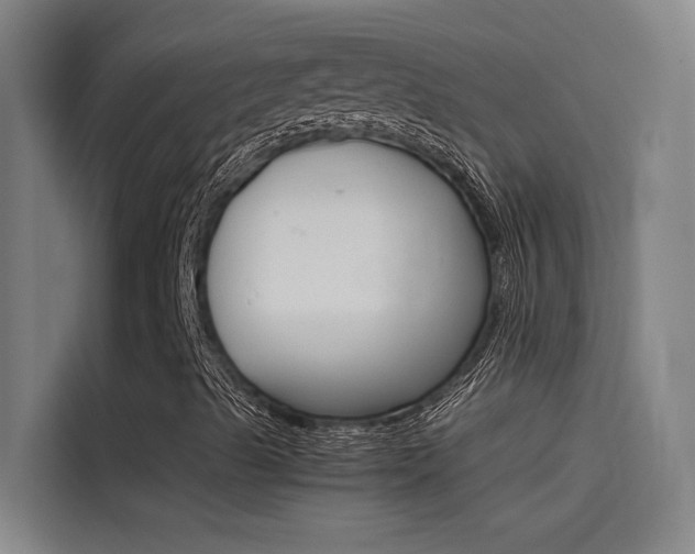 X0000115511489200911060952