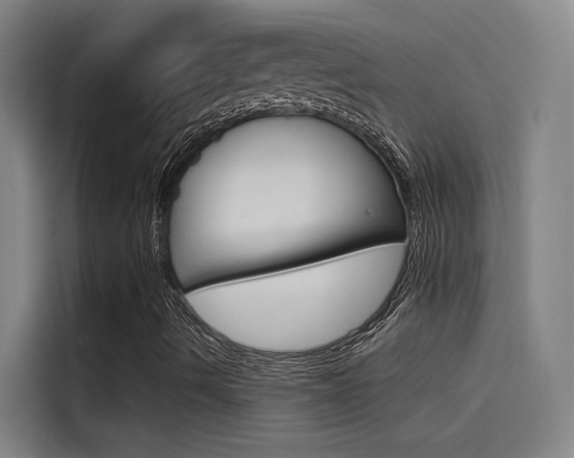 X0000115511490200911060952