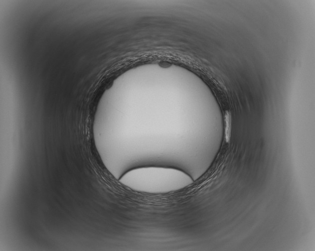 X0000115511491200911060952