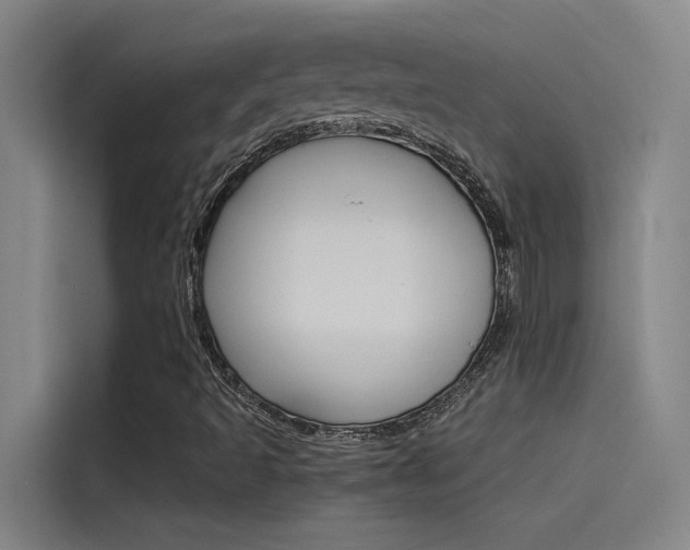 X0000115511493200911060952