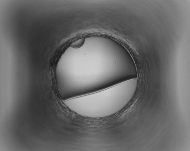 X0000115511494200911060952