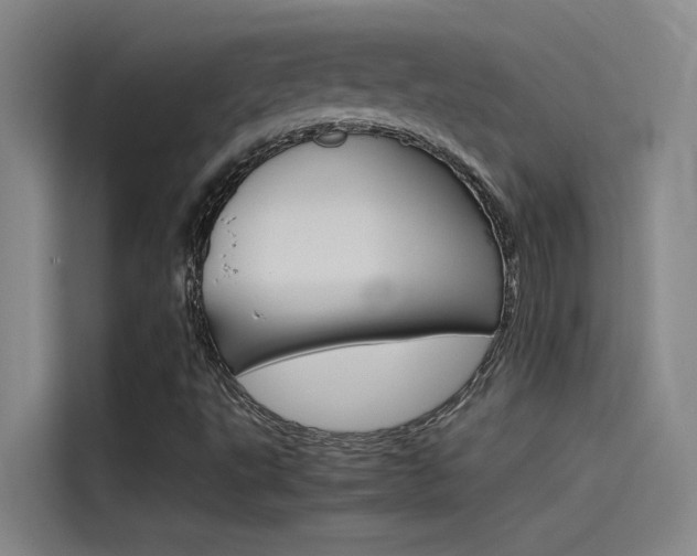 X0000115511495200911060952