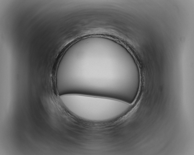 X0000115511497200911060952