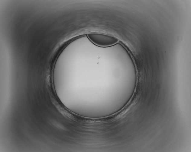 X0000115511499200911060952