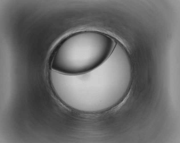 X0000115511502200911060952
