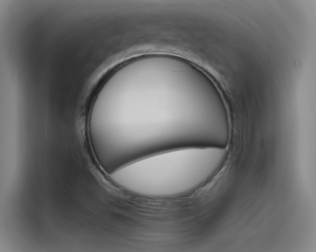 X0000115511503200911060952