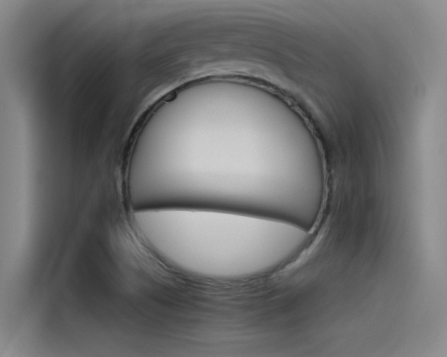 X0000115511505200911060952
