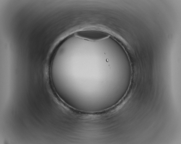 X0000115511506200911060952