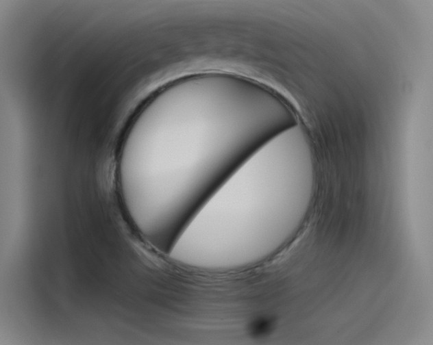 X0000115511507200911060952