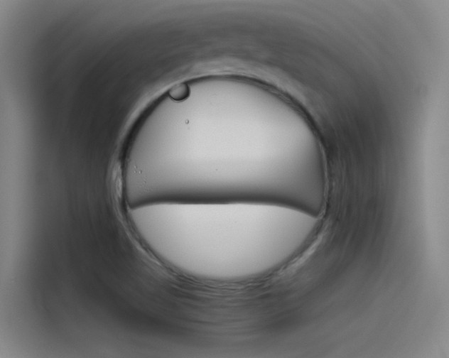 X0000115511509200911060952