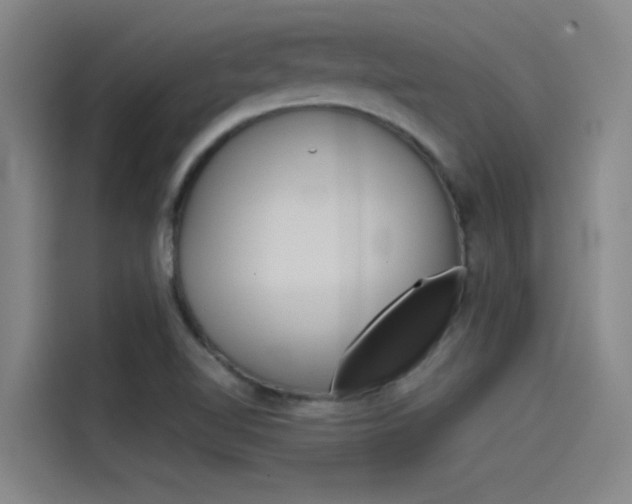 X0000115511510200911060952