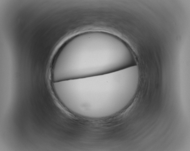 X0000115511511200911060952