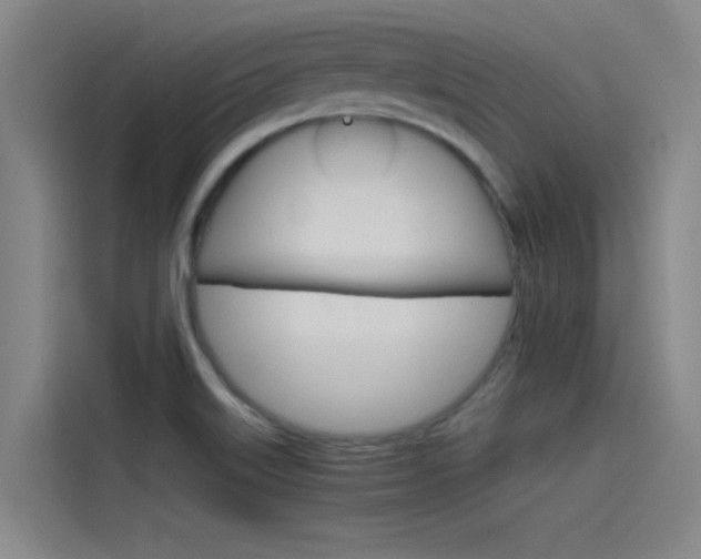 X0000115511515200911060952
