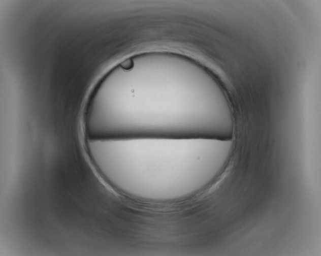 X0000115511517200911060952