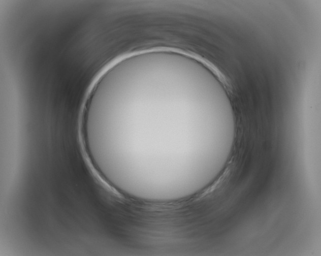 X0000115511518200911060952