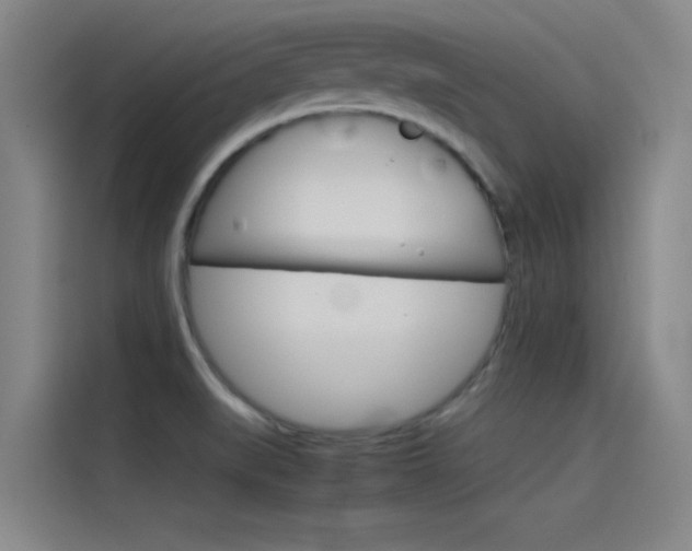 X0000115511519200911060952
