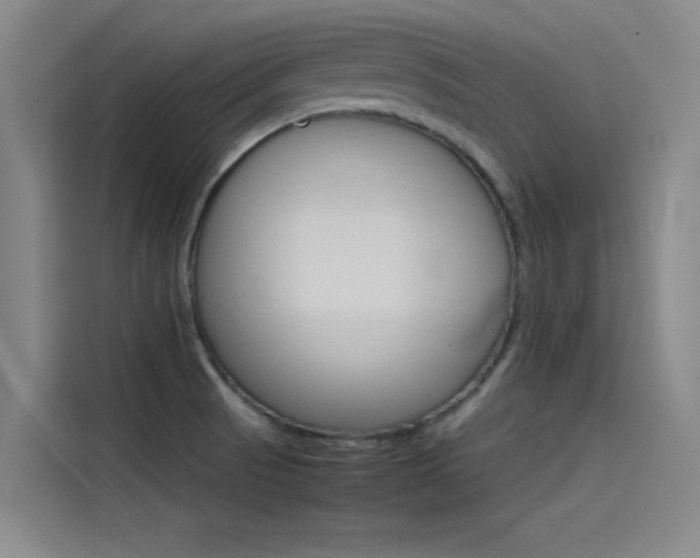 X0000115511521200911060952