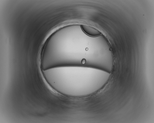 X0000115511523200911060952