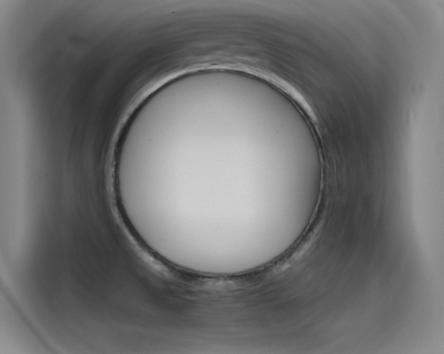 X0000115511525200911060952