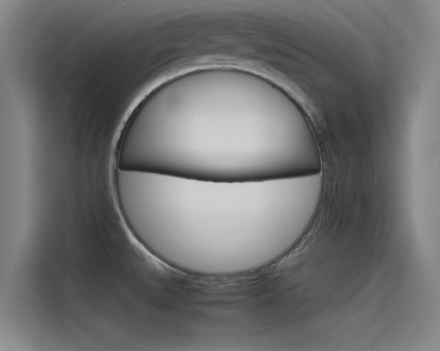 X0000115511527200911060952