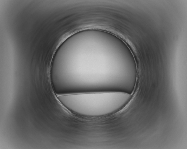 X0000115511529200911060952