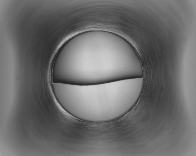 X0000115511531200911060952