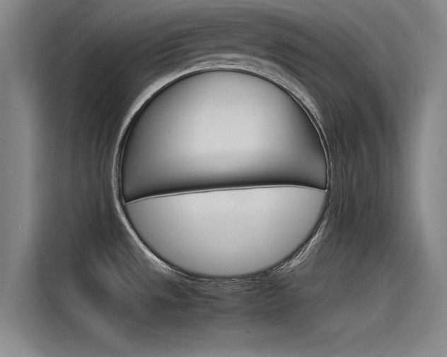 X0000115511533200911060952