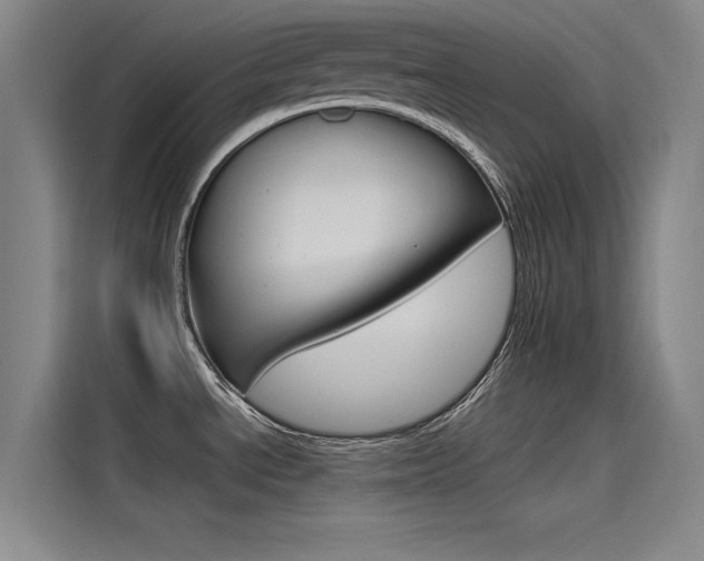 X0000115511534200911060952