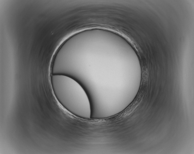X0000115511535200911060952