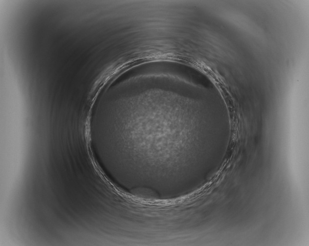 X0000115510002200911061406