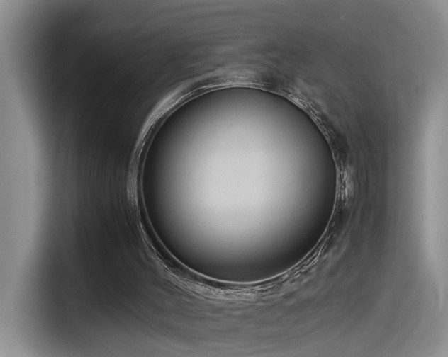 X0000115510004200911061406